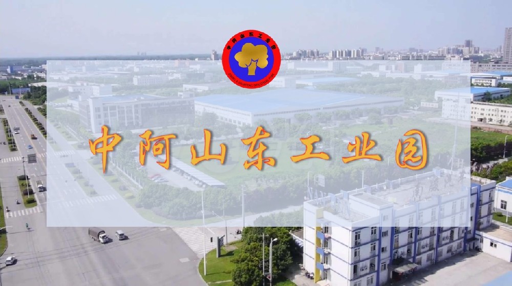 项目简介 项目简介